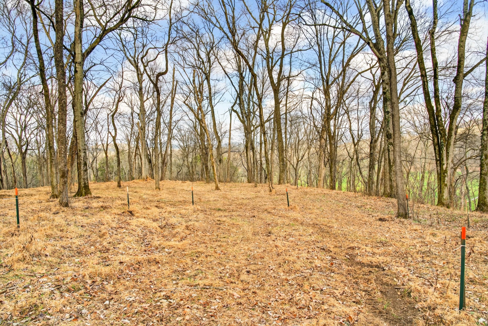2955 Bostic Road Nolensville TN 37135