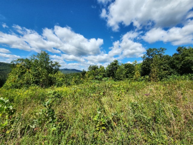 0 Tomahawk Road Jamestown TN 38556