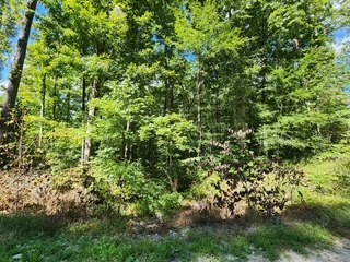 0 Tomahawk Road Jamestown TN 38556