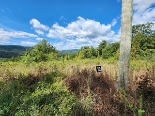 0 Tomahawk Road Jamestown TN 38556