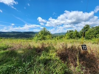 0 Tomahawk Road Jamestown TN 38556