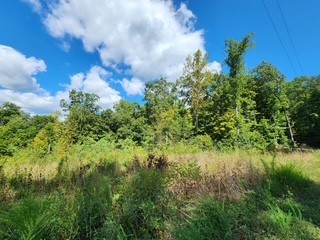 0 Tomahawk Road Jamestown TN 38556