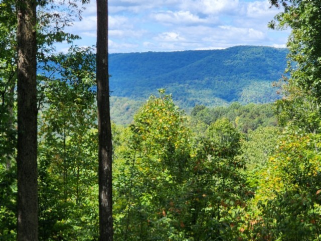 0 Tomahawk Road Jamestown TN 38556