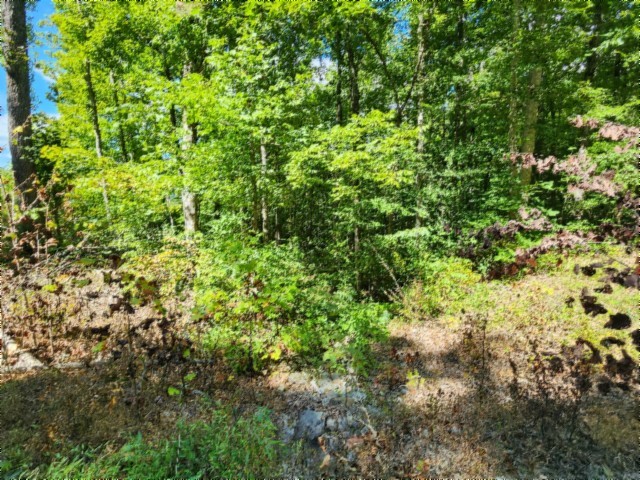 0 Tomahawk Road Jamestown TN 38556
