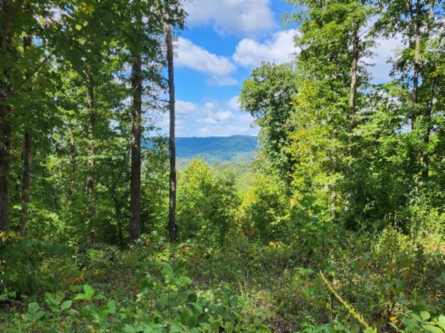 0 Tomahawk Road Jamestown TN 38556