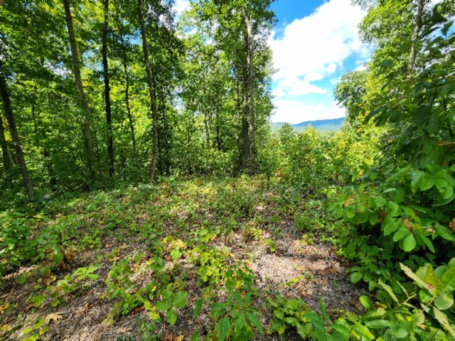 0 Tomahawk Road Jamestown TN 38556