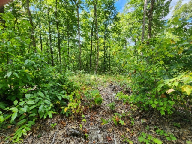 0 Tomahawk Road Jamestown TN 38556