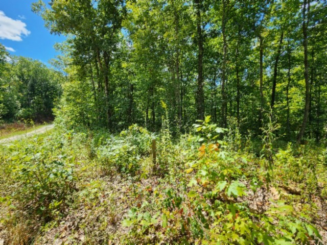 0 Tomahawk Road Jamestown TN 38556