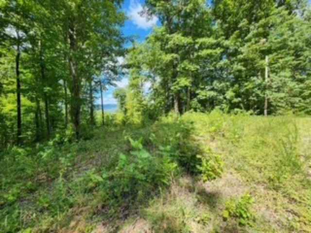 0 Tomahawk Road Jamestown TN 38556