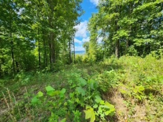 0 Tomahawk Road Jamestown TN 38556