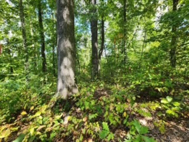 0 Tomahawk Road Jamestown TN 38556