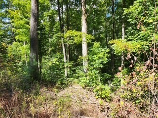 0 Tomahawk Road Jamestown TN 38556