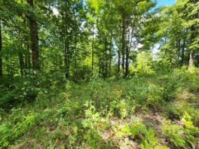 0 Tomahawk Road Jamestown TN 38556