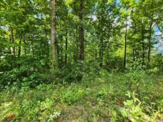 0 Tomahawk Road Jamestown TN 38556