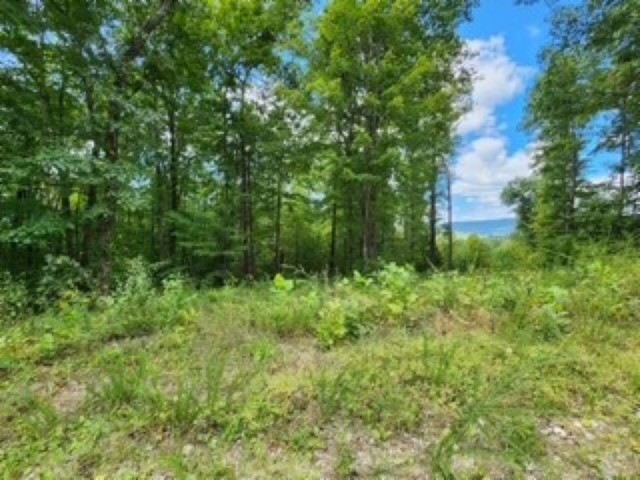 0 Tomahawk Road Jamestown TN 38556