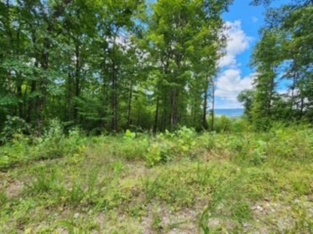 0 Tomahawk Road Jamestown TN 38556