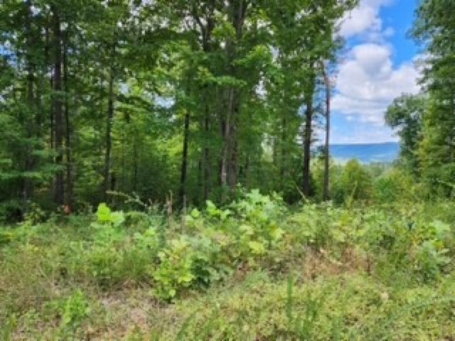 0 Tomahawk Road Jamestown TN 38556
