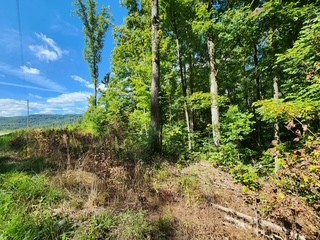 0 Tomahawk Road Jamestown TN 38556