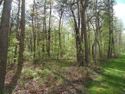 128 Timberwood Trail Monteagle TN 37356