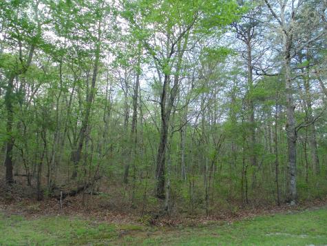 128 Timberwood Trail Monteagle TN 37356