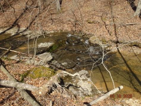 5310 Whites Creek Pike Whites Creek TN 37189