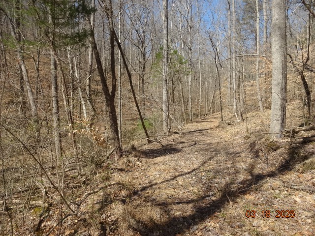 5310 Whites Creek Pike Whites Creek TN 37189
