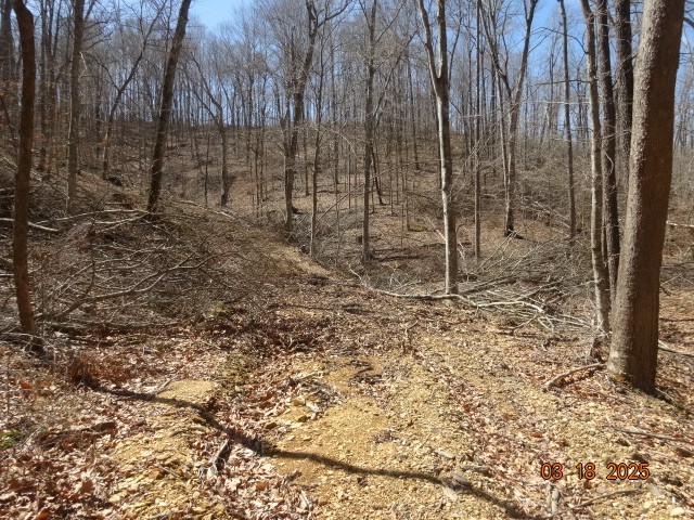 5310 Whites Creek Pike Whites Creek TN 37189