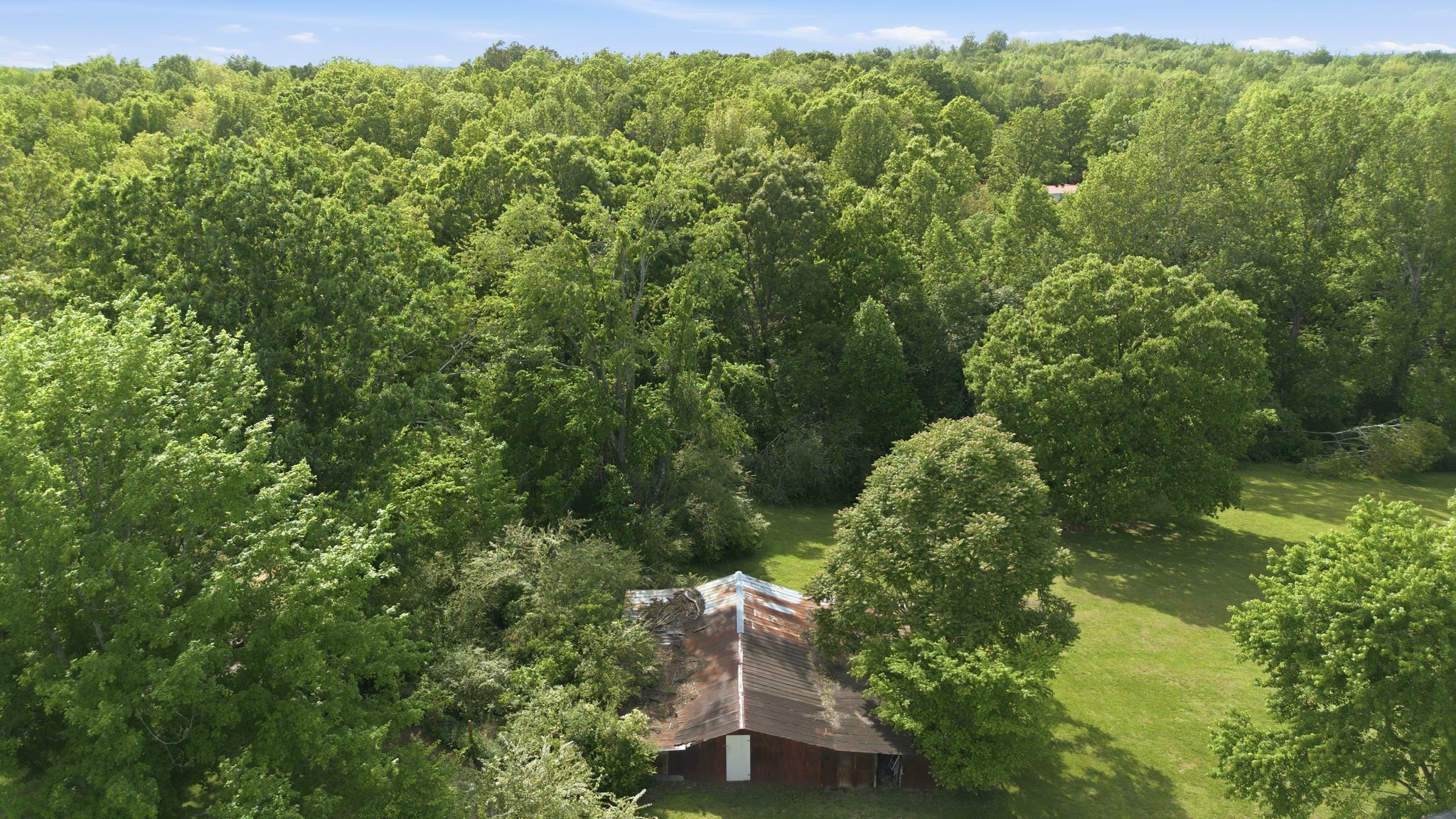 10143 Black Street Lyles TN 37098