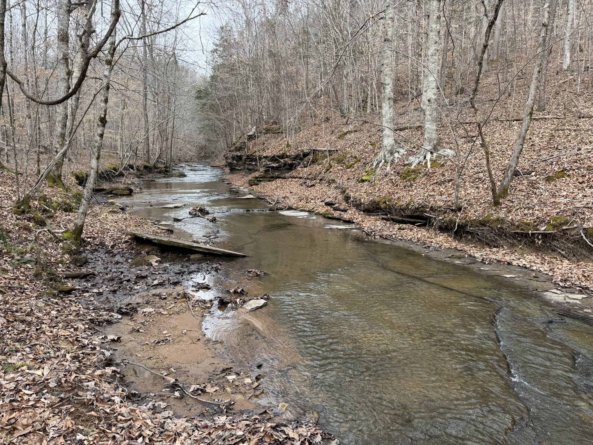 0 Collier Bend Road Charlotte TN 37036