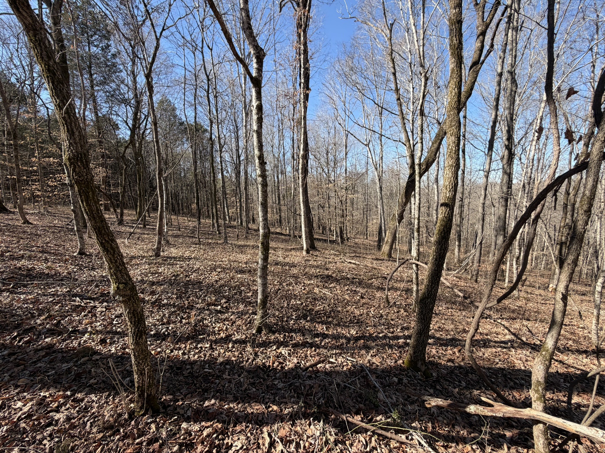 0 Collier Bend Road Charlotte TN 37036