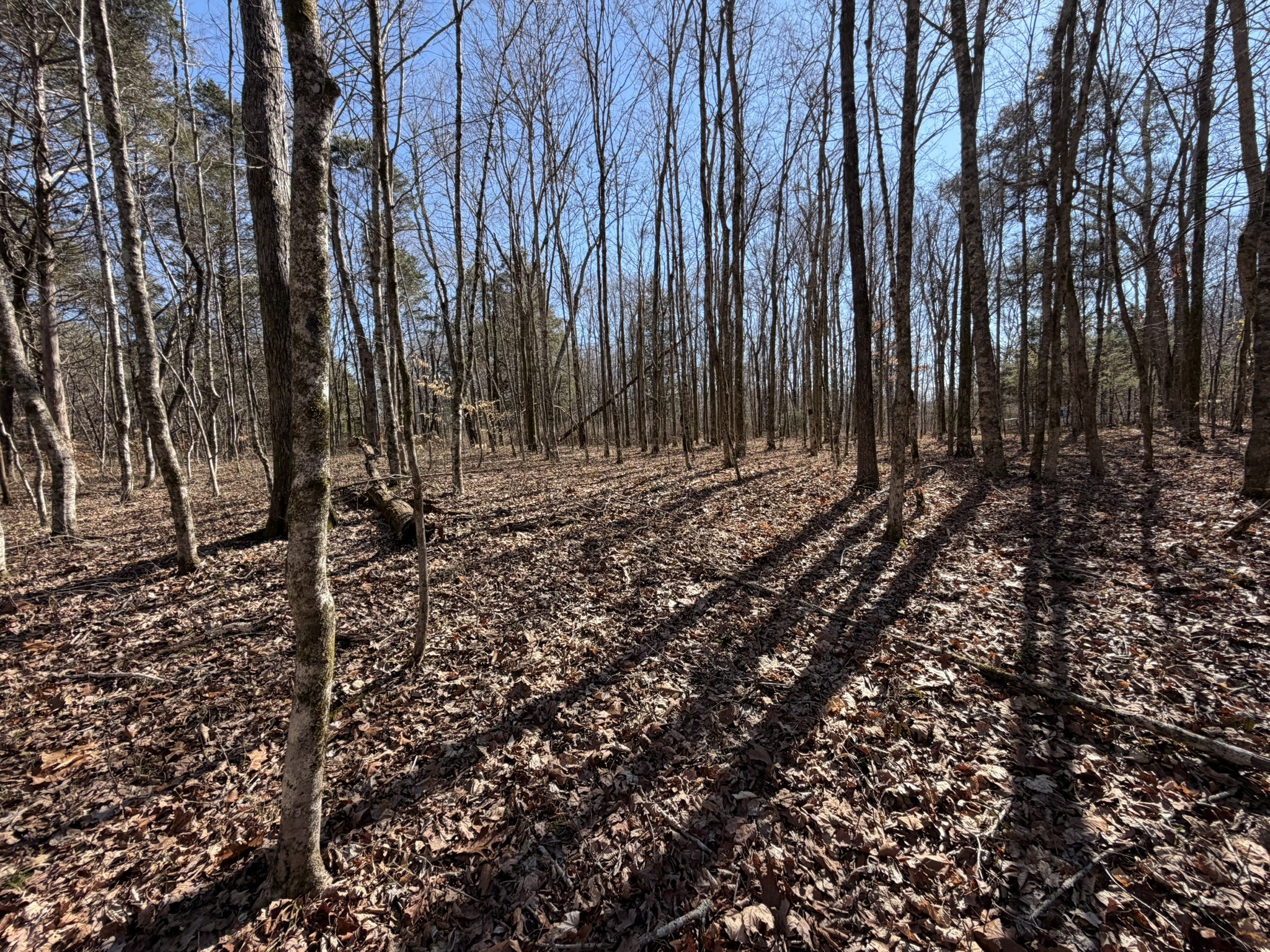 0 Collier Bend Road Charlotte TN 37036