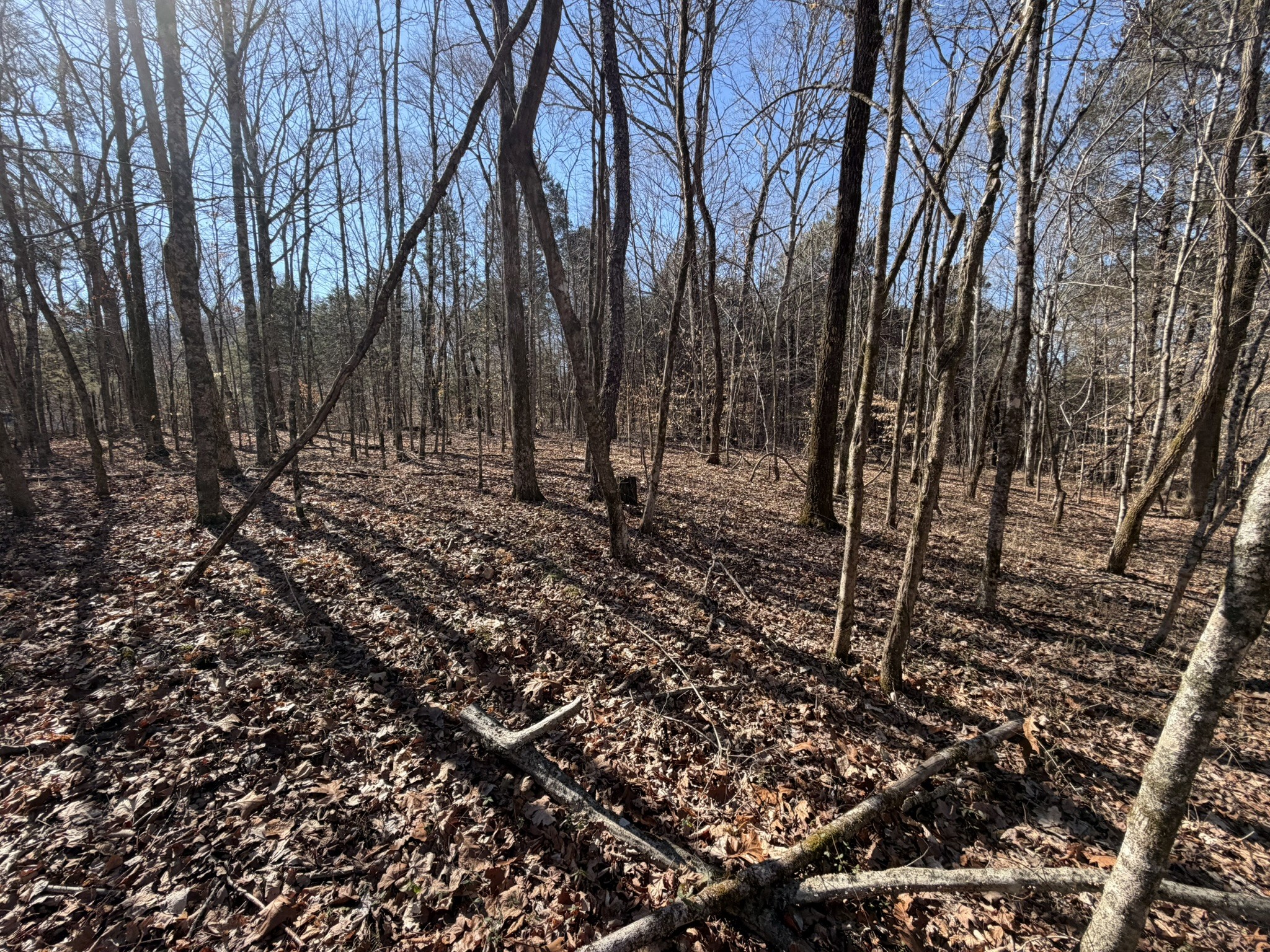 0 Collier Bend Road Charlotte TN 37036