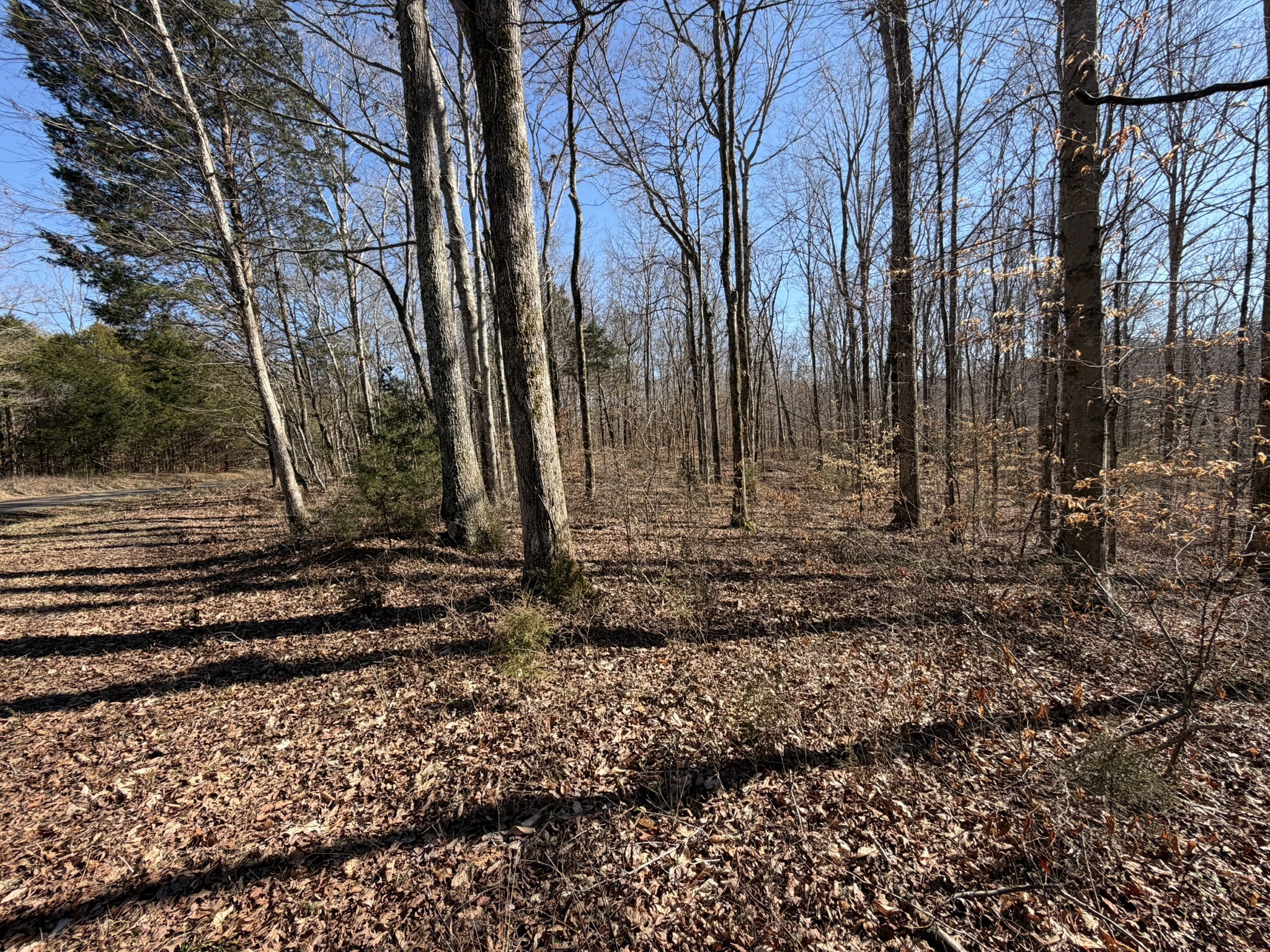0 Collier Bend Road Charlotte TN 37036