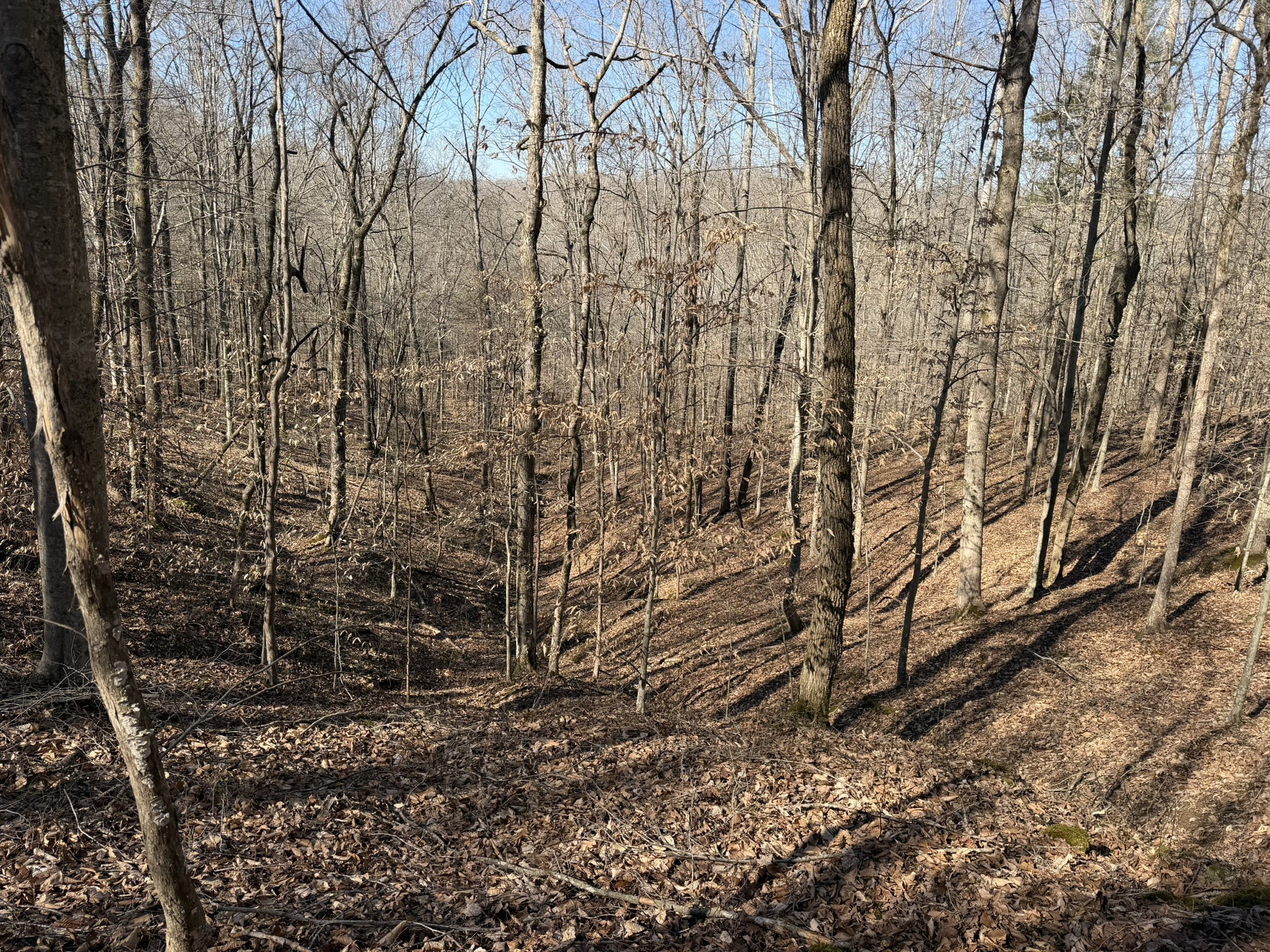 0 Collier Bend Road Charlotte TN 37036