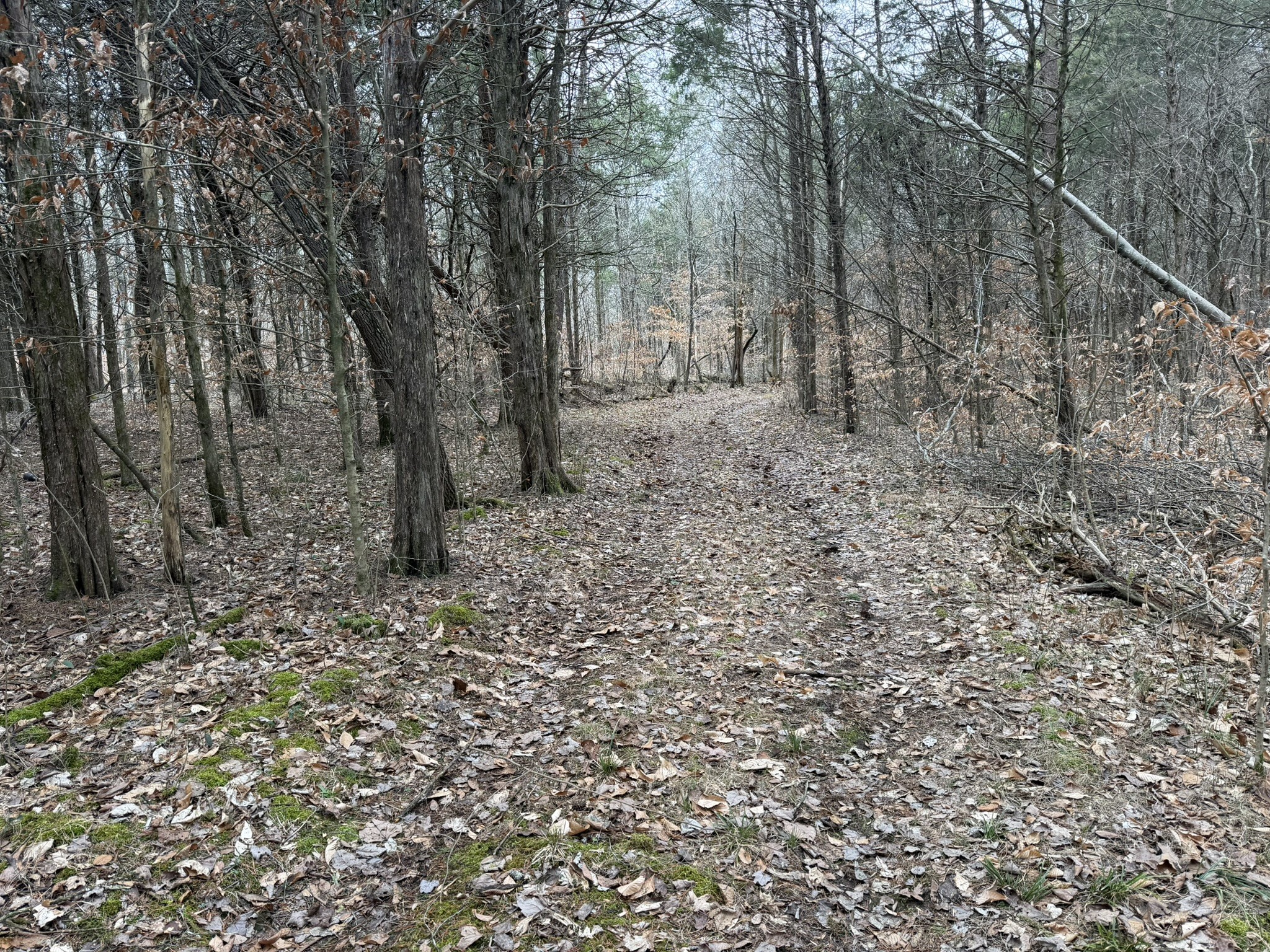 0 Collier Bend Road Charlotte TN 37036