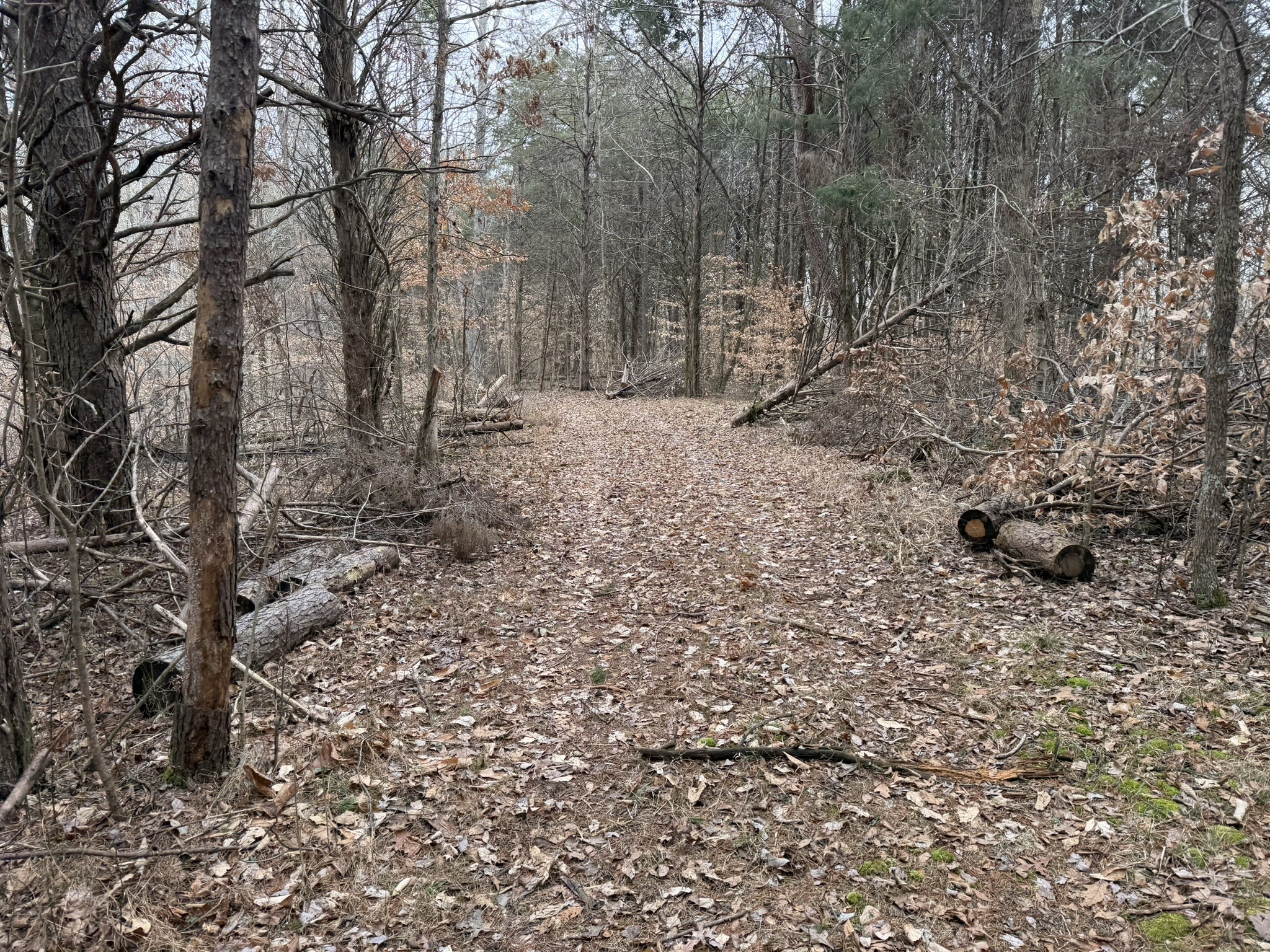 0 Collier Bend Road Charlotte TN 37036