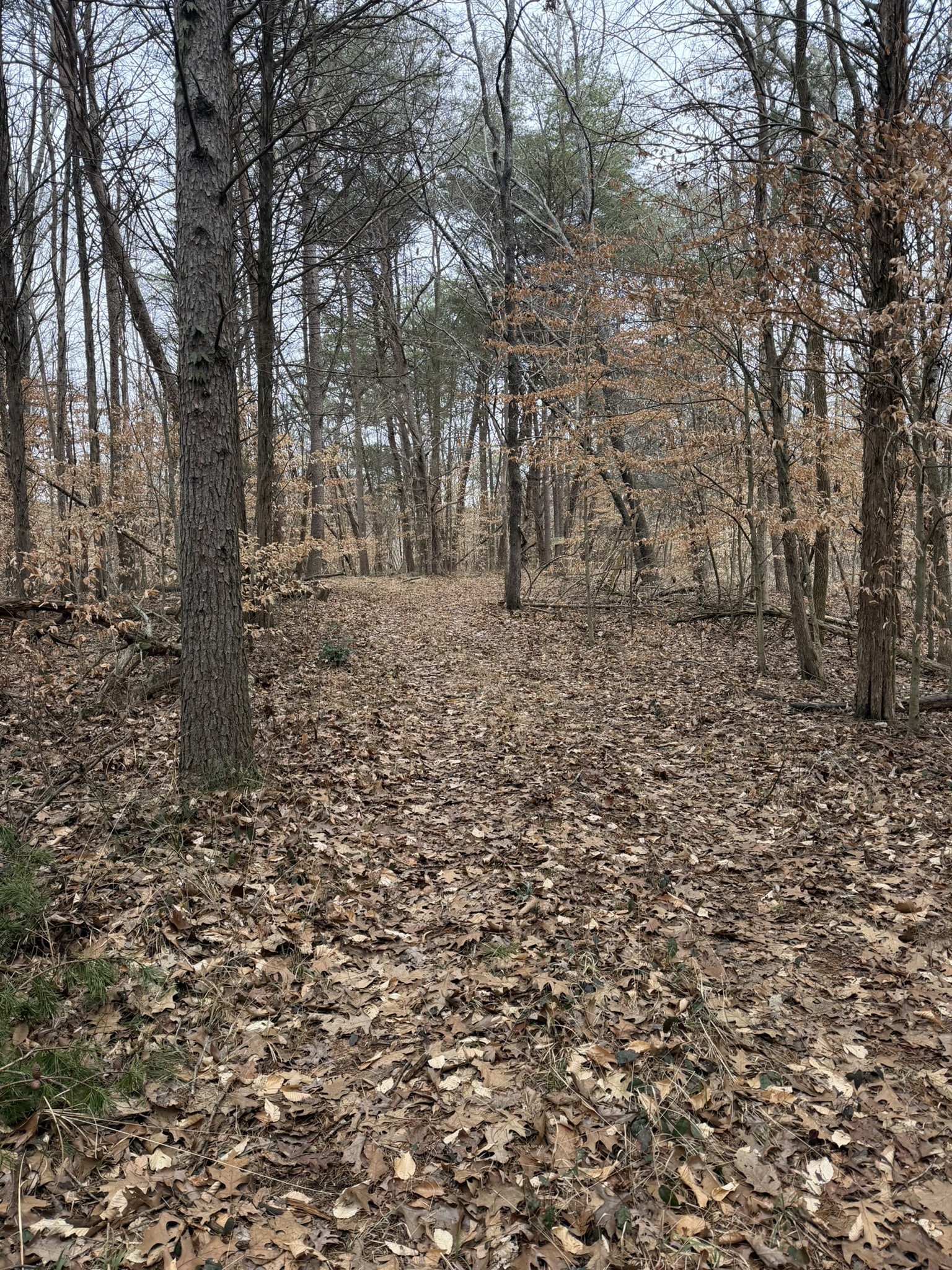 0 Collier Bend Road Charlotte TN 37036