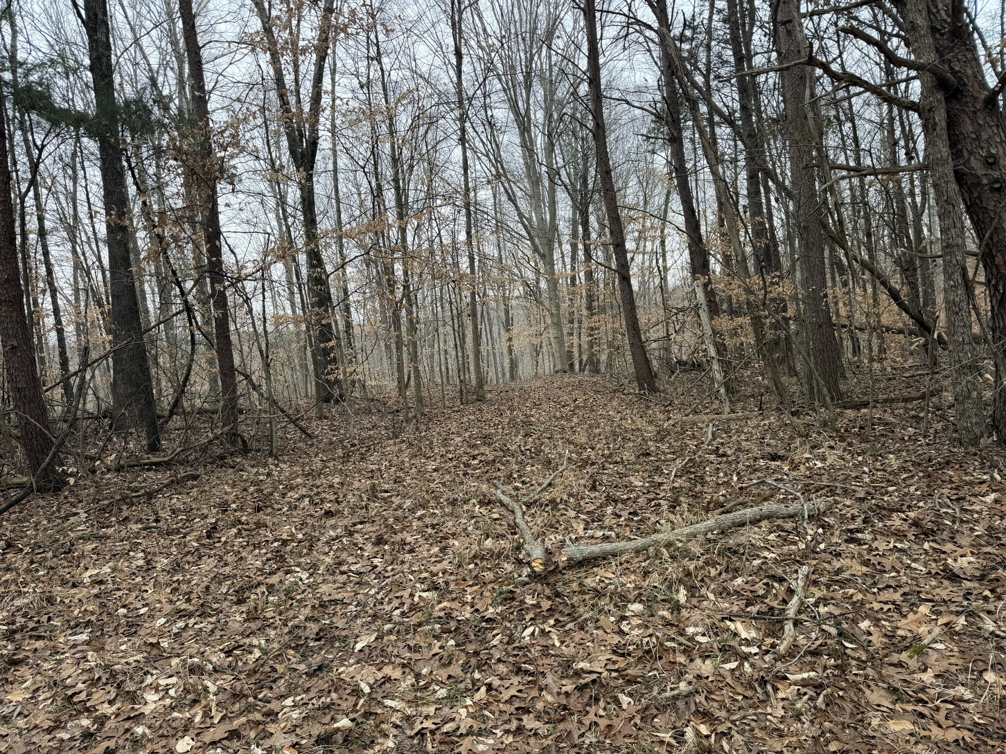 0 Collier Bend Road Charlotte TN 37036