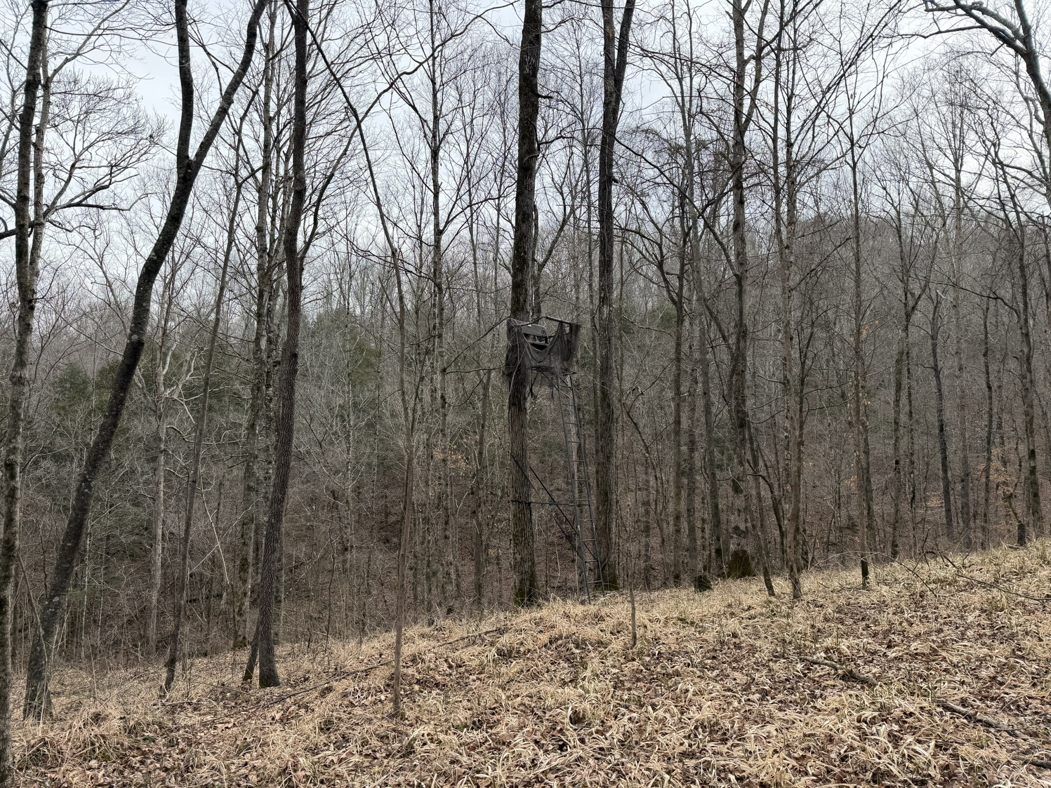 0 Collier Bend Road Charlotte TN 37036