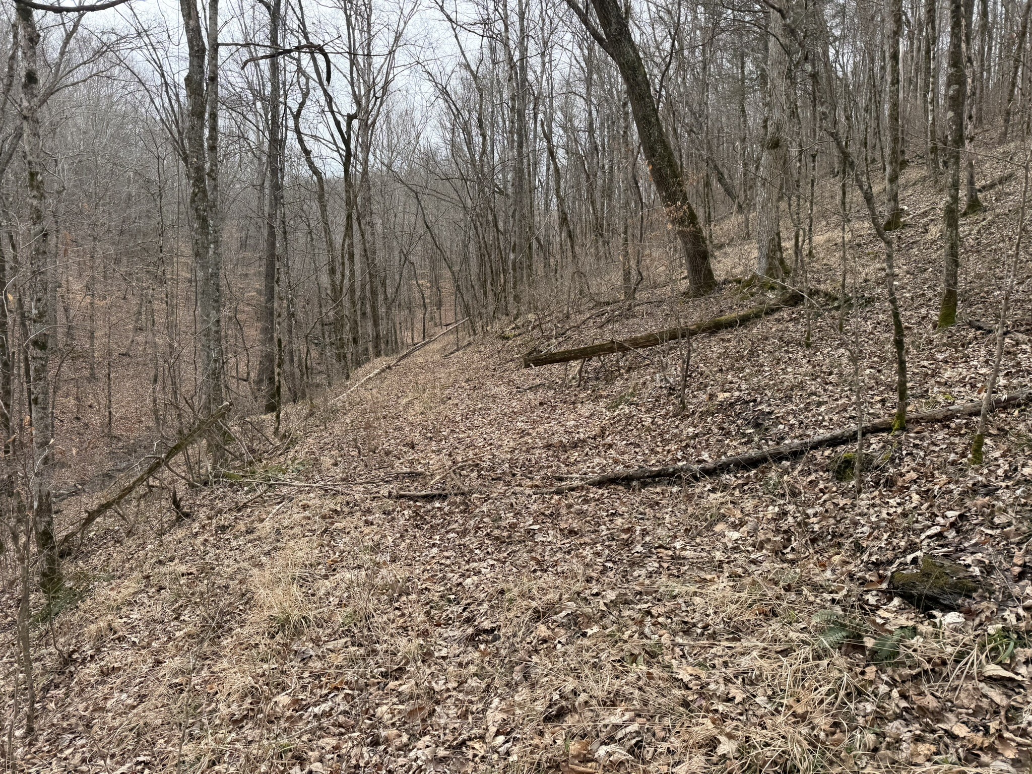 0 Collier Bend Road Charlotte TN 37036