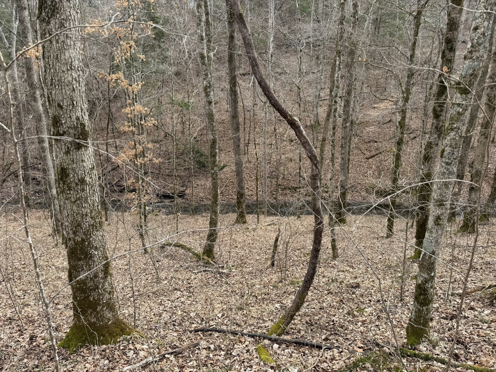 0 Collier Bend Road Charlotte TN 37036