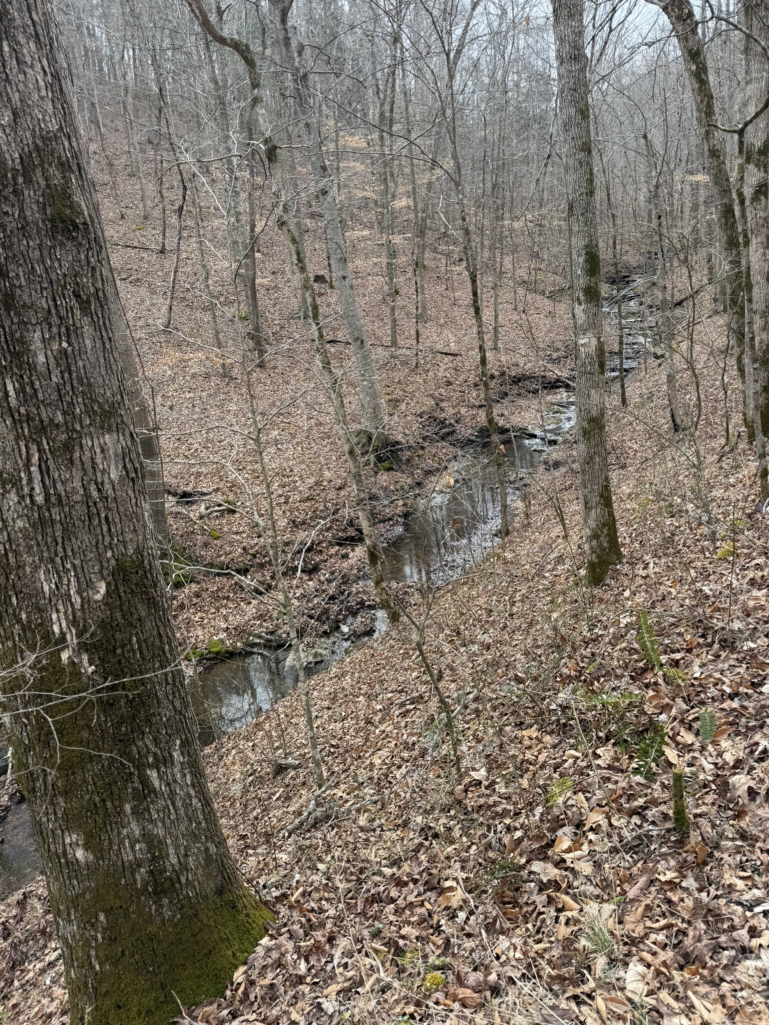 0 Collier Bend Road Charlotte TN 37036