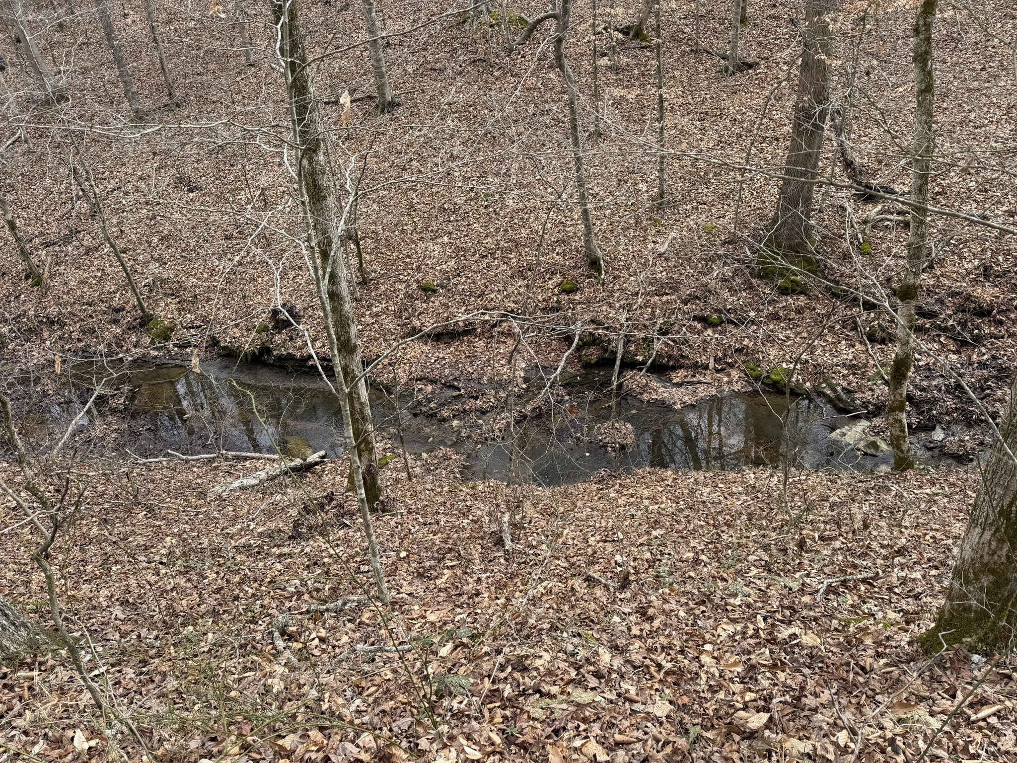 0 Collier Bend Road Charlotte TN 37036