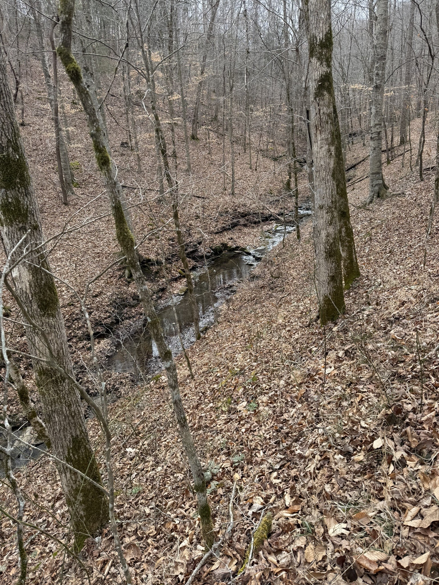 0 Collier Bend Road Charlotte TN 37036