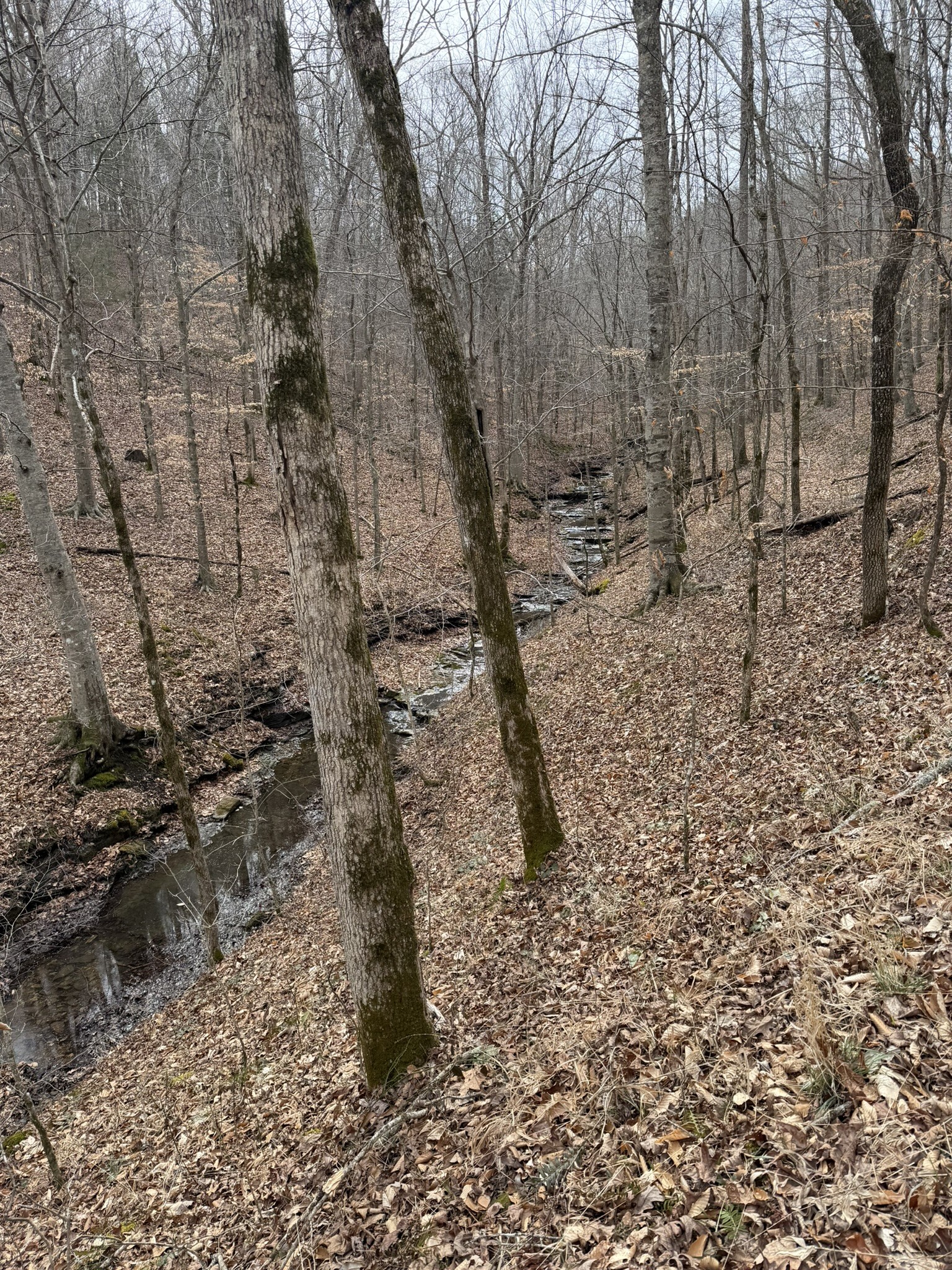 0 Collier Bend Road Charlotte TN 37036