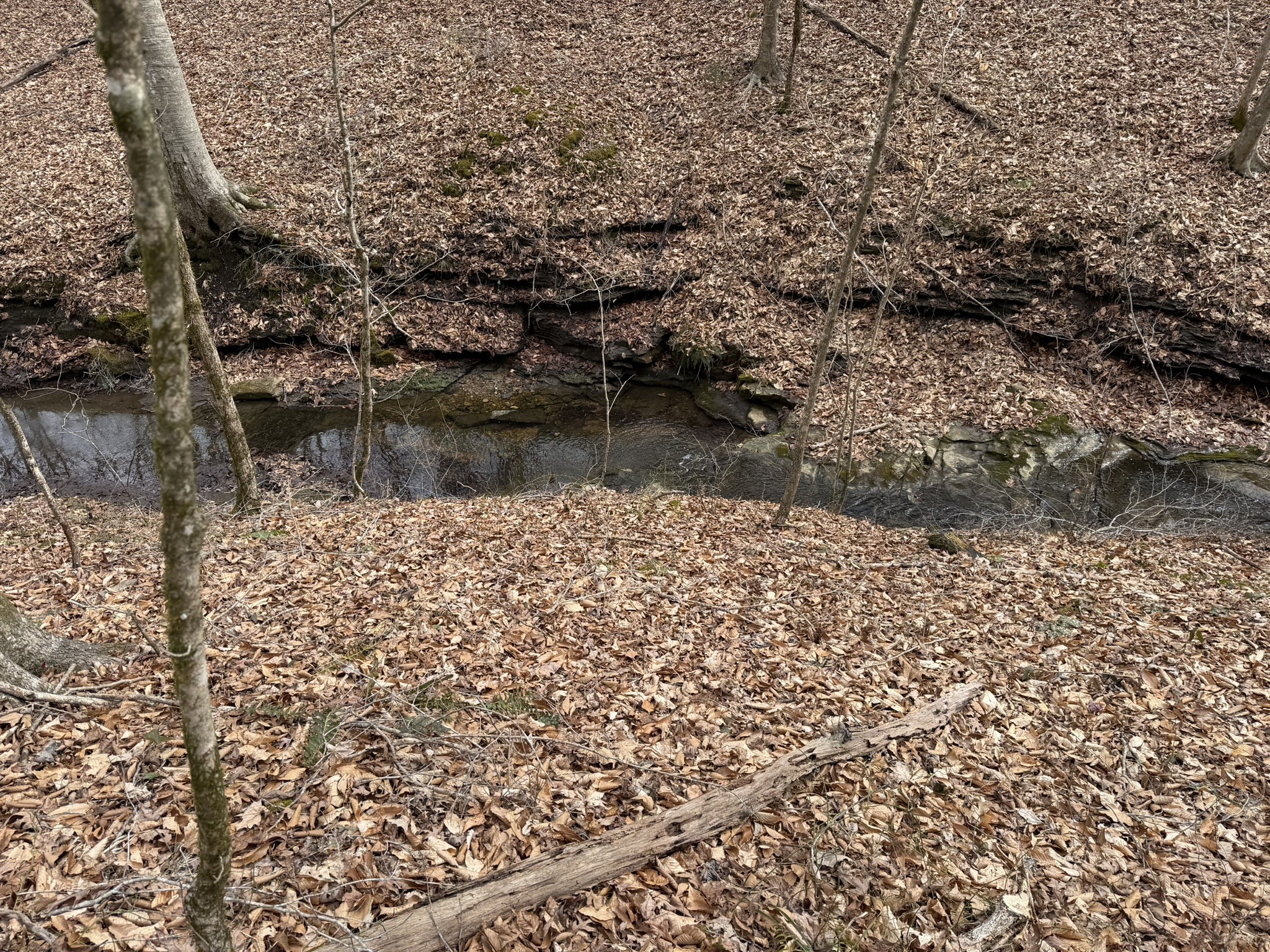 0 Collier Bend Road Charlotte TN 37036