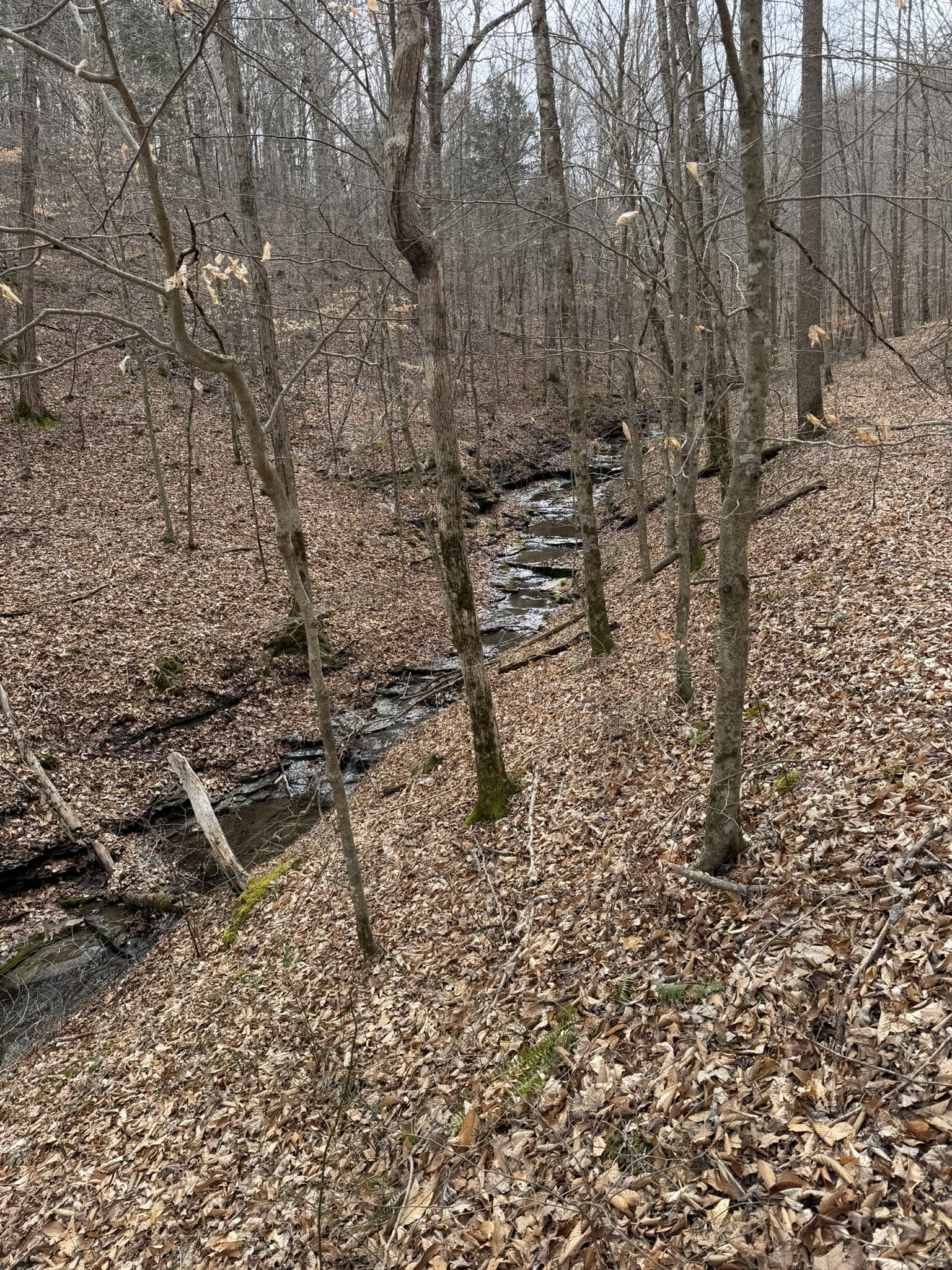 0 Collier Bend Road Charlotte TN 37036