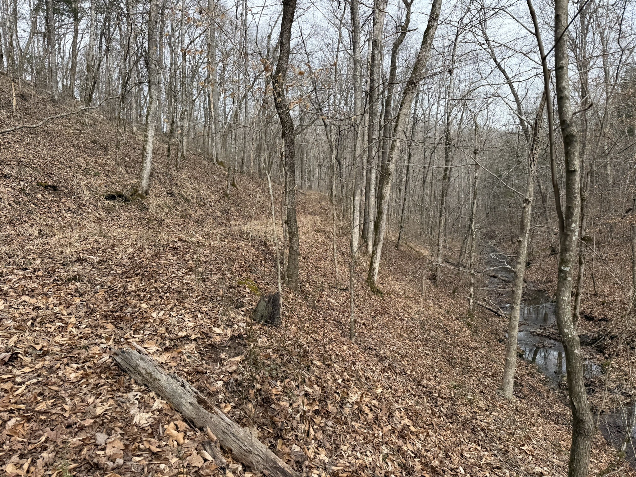 0 Collier Bend Road Charlotte TN 37036
