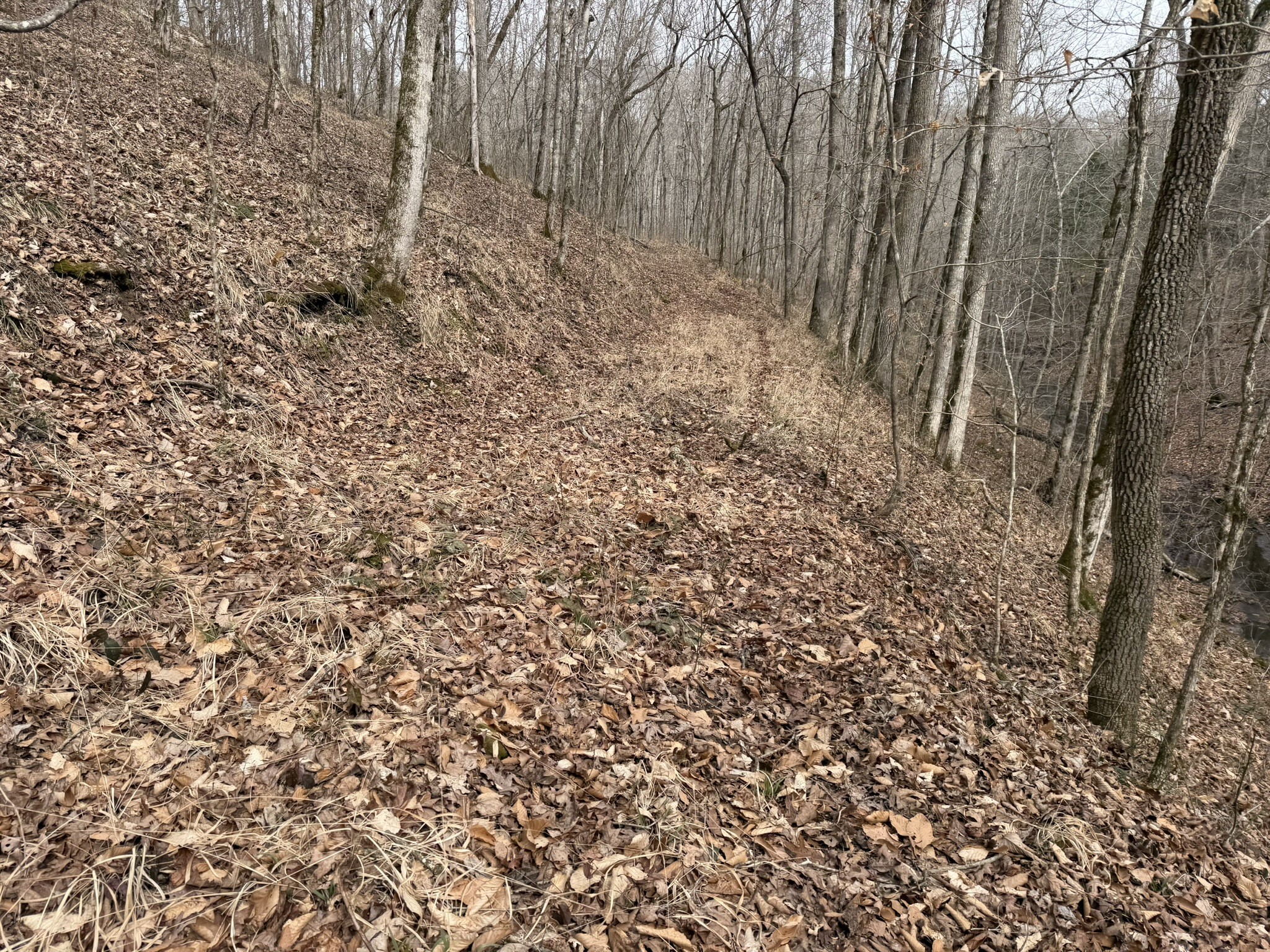 0 Collier Bend Road Charlotte TN 37036