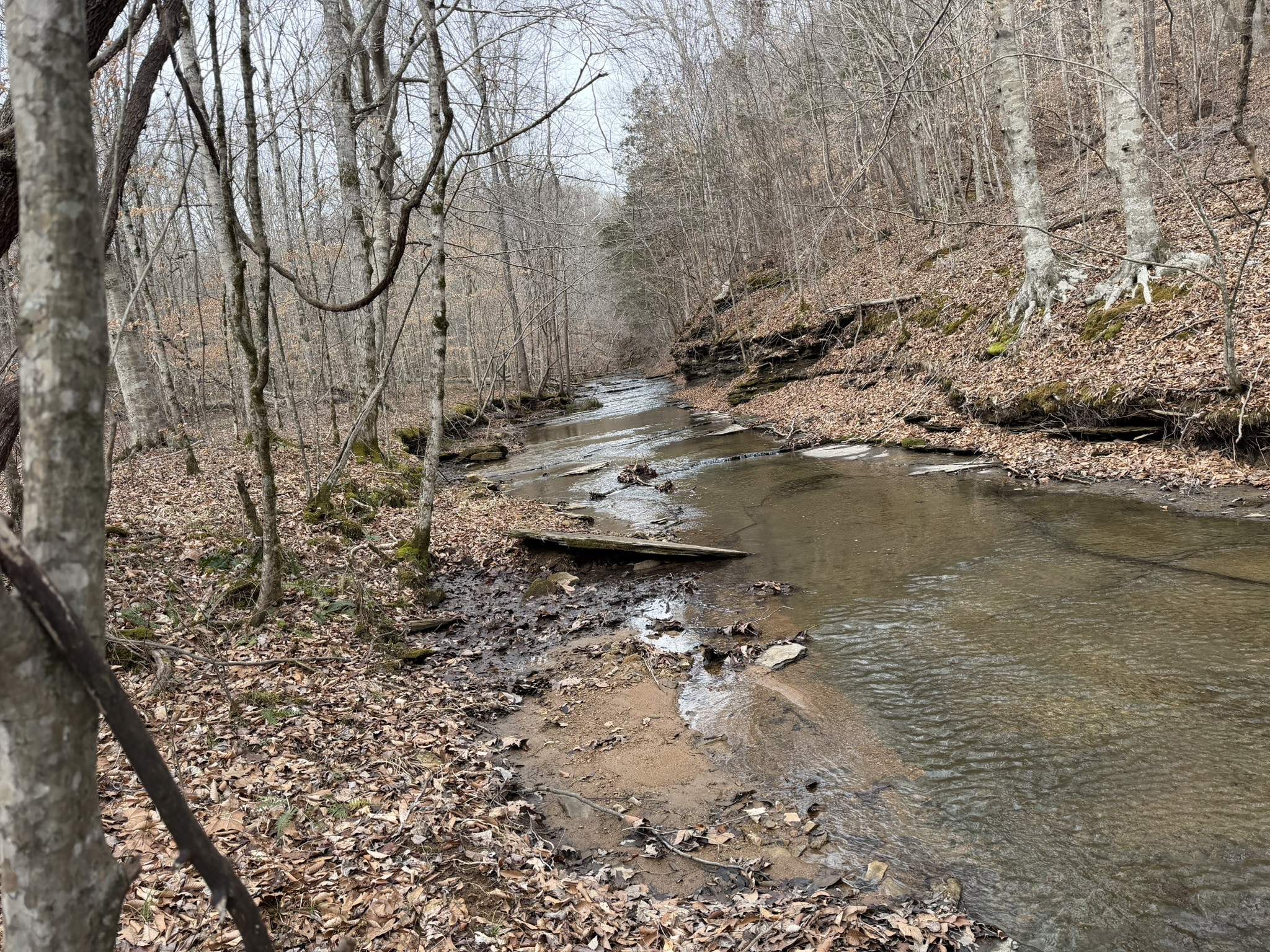 0 Collier Bend Road Charlotte TN 37036